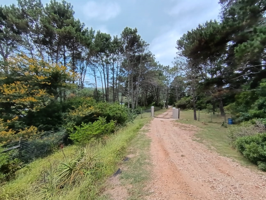 Commercial Property for Sale in Colleen Glen Eastern Cape